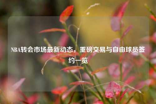 NBA转会市场最新动态，重磅交易与自由球员签约一览