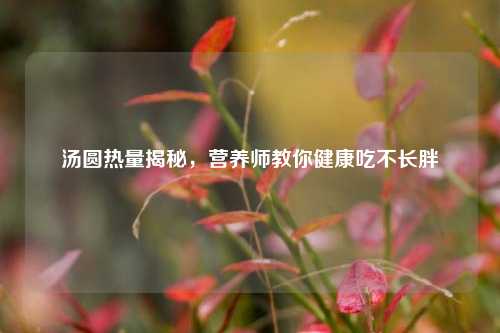 汤圆热量揭秘，营养师教你健康吃不长胖