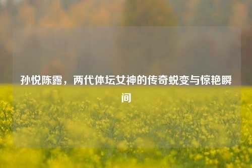孙悦陈露，两代体坛女神的传奇蜕变与惊艳瞬间