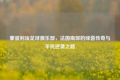 蒙彼利埃足球俱乐部，法国南部的绿茵传奇与平民逆袭之路