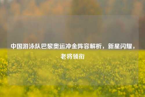 中国游泳队巴黎奥运冲金阵容解析，新星闪耀，老将领衔