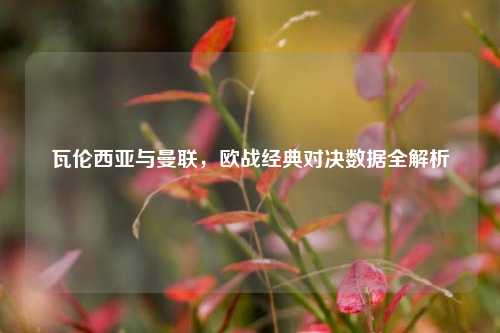 瓦伦西亚与曼联，欧战经典对决数据全解析
