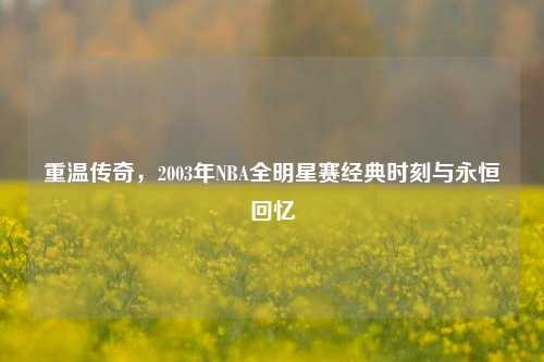 重温传奇，2003年NBA全明星赛经典时刻与永恒回忆