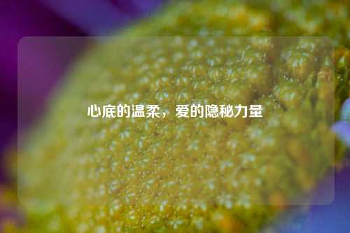 心底的温柔，爱的隐秘力量