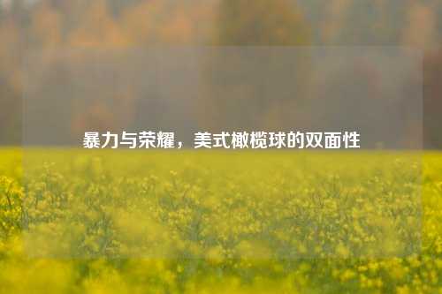 暴力与荣耀，美式橄榄球的双面性