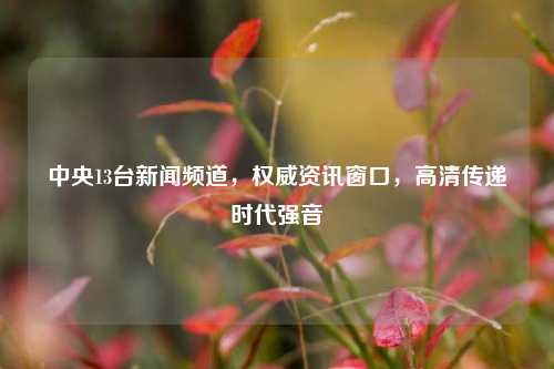 中央13台新闻频道，权威资讯窗口，高清传递时代强音