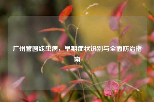 广州管圆线虫病，早期症状识别与全面防治指南