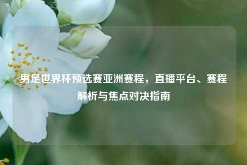 男足世界杯预选赛亚洲赛程，直播平台、赛程解析与焦点对决指南