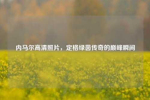 内马尔高清照片，定格绿茵传奇的巅峰瞬间