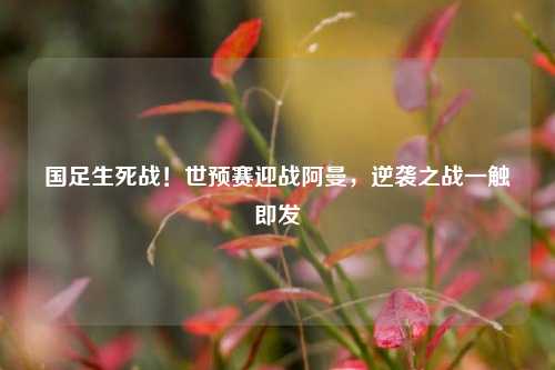 国足生死战！世预赛迎战阿曼，逆袭之战一触即发