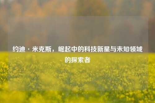 约迪·米克斯，崛起中的科技新星与未知领域的探索者