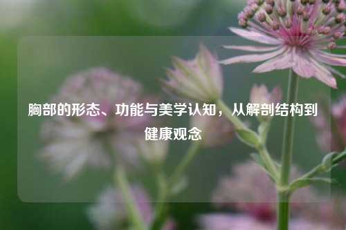 胸部的形态、功能与美学认知，从解剖结构到健康观念