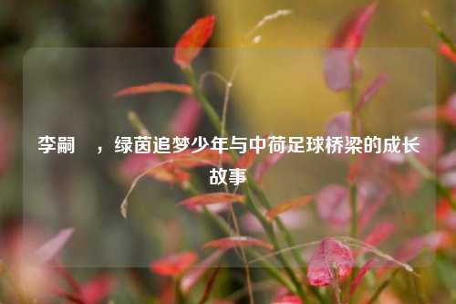 李嗣镕，绿茵追梦少年与中荷足球桥梁的成长故事