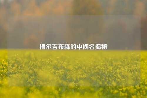梅尔吉布森的中间名揭秘