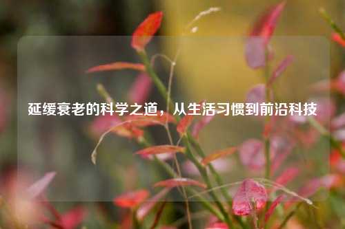 延缓衰老的科学之道，从生活习惯到前沿科技