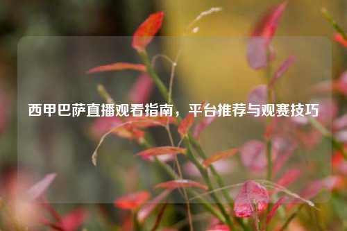 西甲巴萨直播观看指南，平台推荐与观赛技巧