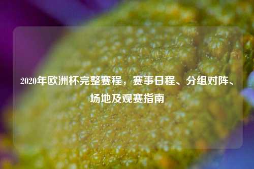 2020年欧洲杯完整赛程，赛事日程、分组对阵、场地及观赛指南