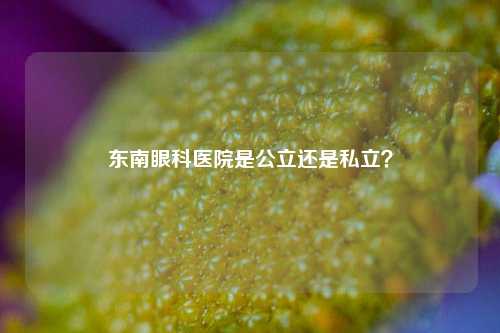 东南眼科医院是公立还是私立？