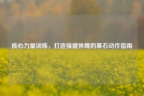 核心力量训练，打造强健体魄的基石动作指南