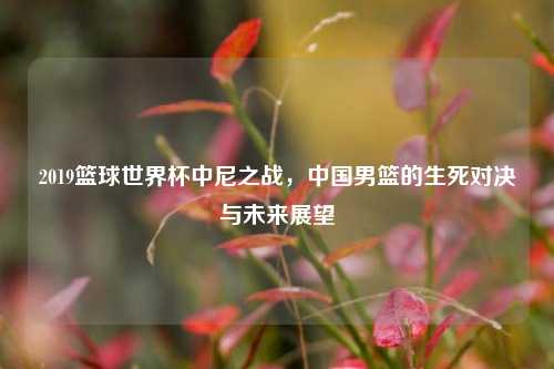 2019篮球世界杯中尼之战，中国男篮的生死对决与未来展望