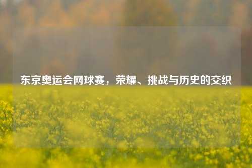 东京奥运会网球赛，荣耀、挑战与历史的交织