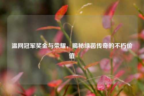 温网冠军奖金与荣耀，揭秘绿茵传奇的不朽价值