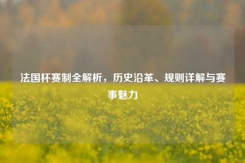 法国杯赛制全解析，历史沿革、规则详解与赛事魅力