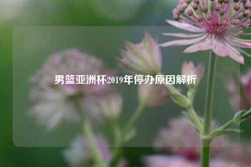 男篮亚洲杯2019年停办原因解析