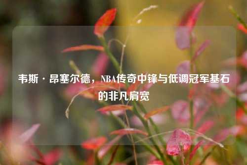 韦斯·昂塞尔德，NBA传奇中锋与低调冠军基石的非凡肩宽