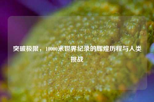 突破极限，10000米世界纪录的辉煌历程与人类挑战