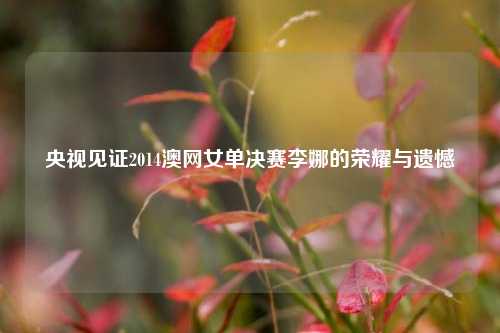 央视见证2014澳网女单决赛李娜的荣耀与遗憾