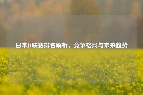 日本J1联赛排名解析，竞争格局与未来趋势