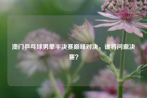 澳门乒乓球男单半决赛巅峰对决，谁将问鼎决赛？