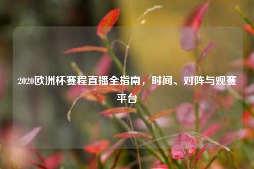 2020欧洲杯赛程直播全指南，时间、对阵与观赛平台