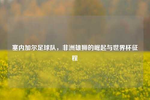 塞内加尔足球队，非洲雄狮的崛起与世界杯征程