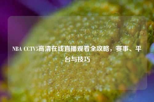 NBA CCTV5     直播观看全攻略，赛事、平台与技巧