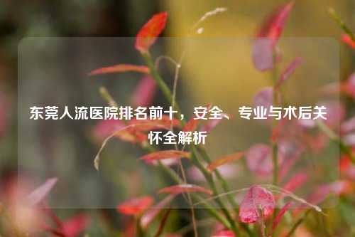 东莞人流医院排名前十，安全、专业与术后关怀全解析