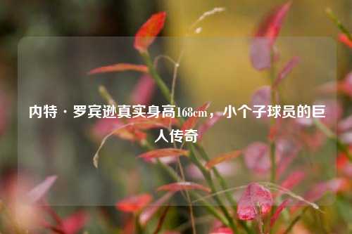 内特·罗宾逊真实身高168cm，小个子球员的巨人传奇