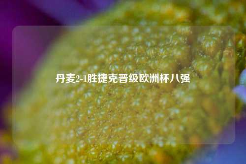 丹麦2-1胜捷克晋级欧洲杯八强