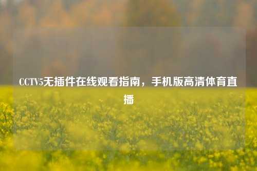 CCTV5无插件在线观看指南，手机版高清体育直播