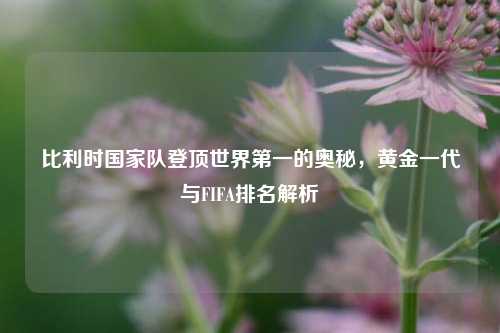 比利时国家队登顶世界之一的奥秘，黄金一代与FIFA排名解析