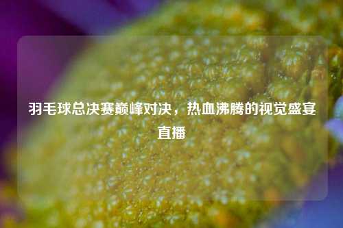 羽毛球总决赛巅峰对决，热血沸腾的视觉盛宴直播