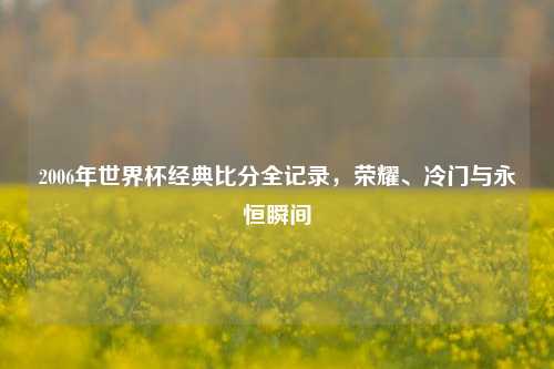 2006年世界杯经典比分全记录，荣耀、冷门与永恒瞬间