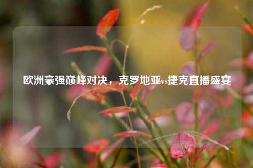 欧洲豪强巅峰对决，克罗地亚vs捷克直播盛宴