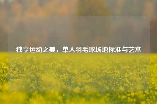 独享运动之美，单人羽毛球场地标准与艺术