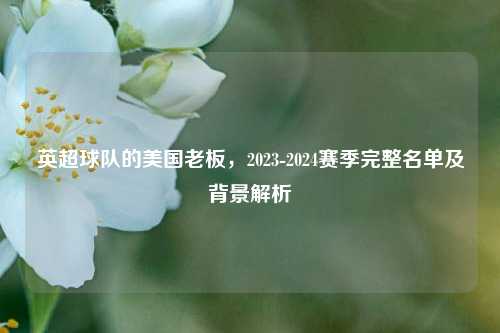 英超球队的美国老板，2023-2024赛季完整名单及背景解析