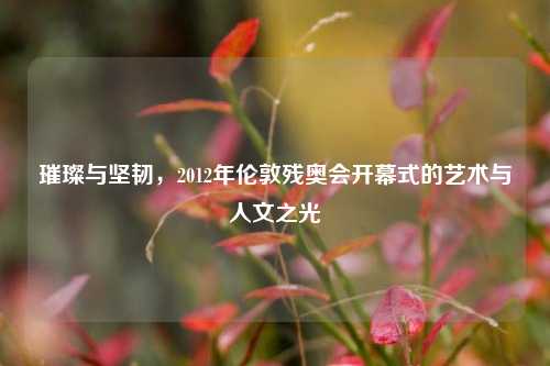 璀璨与坚韧，2012年伦敦残奥会开幕式的艺术与人文之光