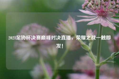 2021足协杯决赛巅峰对决直播，荣耀之战一触即发！