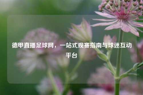 德甲直播足球网，一站式观赛指南与球迷互动平台