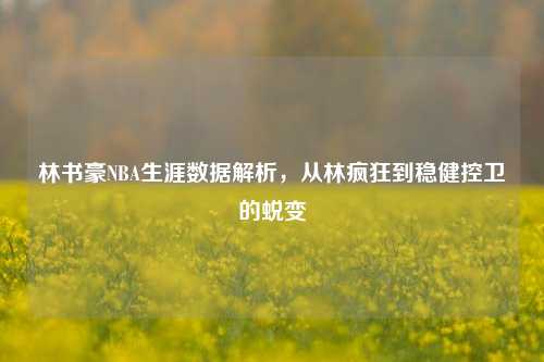 林书豪NBA生涯数据解析，从林疯狂到稳健控卫的蜕变